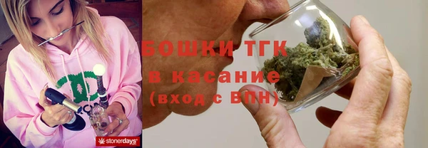 прущие грибы Куйбышев