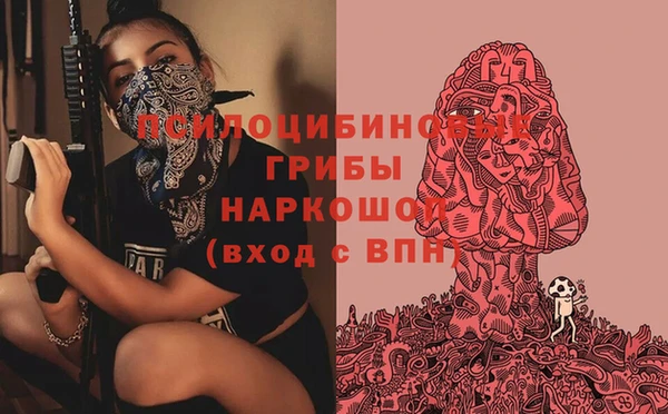 герыч Кулебаки