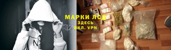 прущие грибы Куйбышев