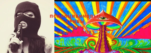 прущие грибы Куйбышев