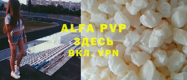 прущие грибы Куйбышев