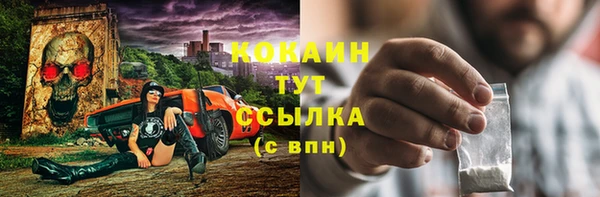 прущие грибы Куйбышев