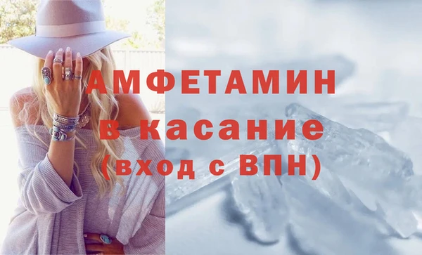 прущие грибы Куйбышев