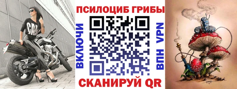 Псилоцибиновые грибы мицелий  Медвежьегорск 